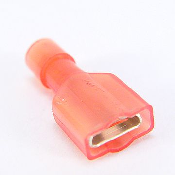2454